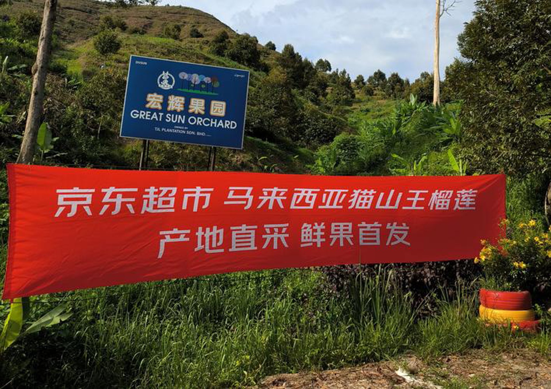 生鲜云商平台